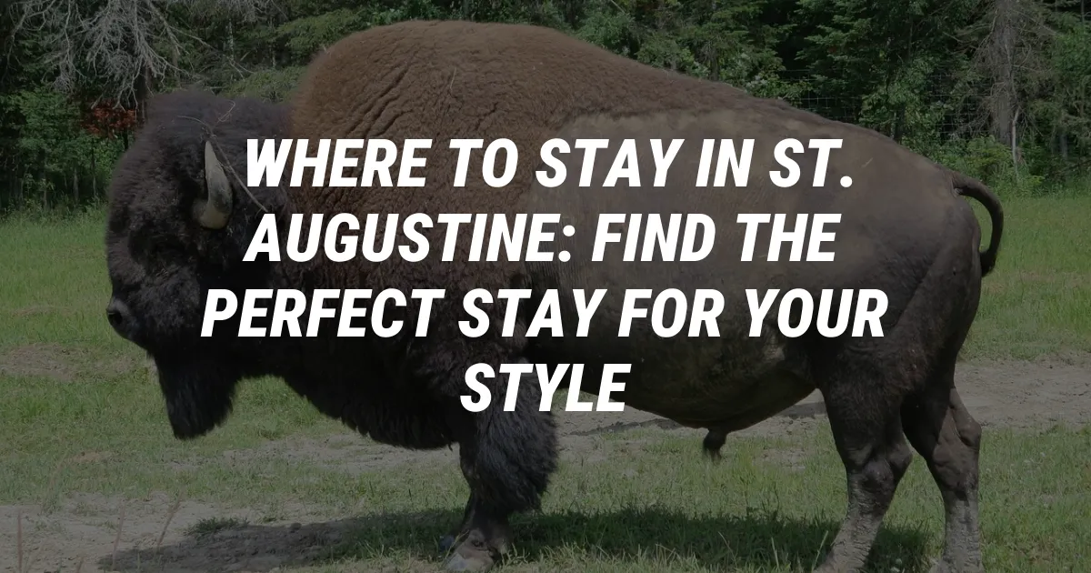 Where to Stay in St. Augustine: Find the Perfect Stay for Your Style