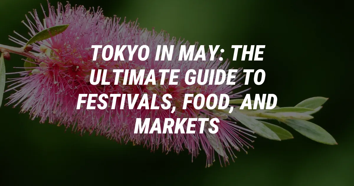 Tokyo in May: The Ultimate Guide to Festivals, Food, and Markets