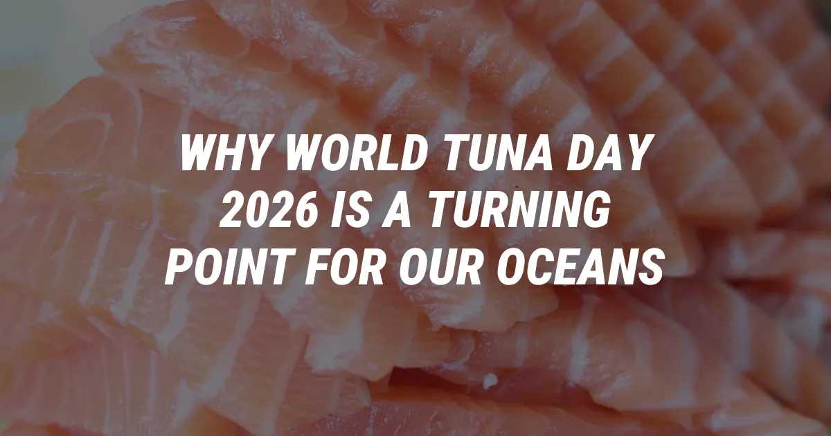Why World Tuna Day 2026 Is a Turning Point for Our Oceans