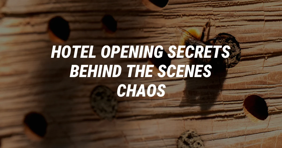 Secrets of Hotel Openings: The Crazy Chaos Behind the Scenes