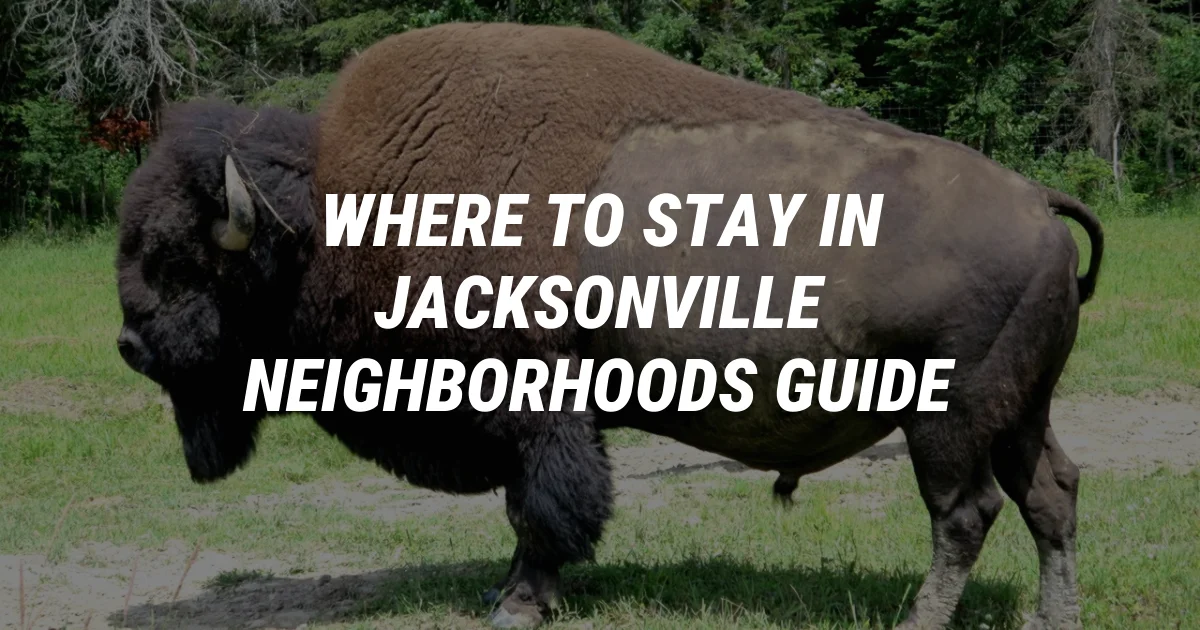 Where to Stay in Jacksonville: Local's Guide to Best Neighborhoods
