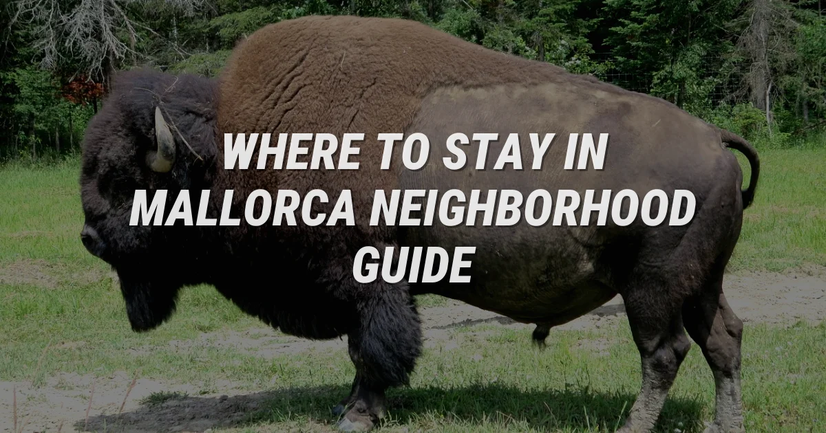 Where to Stay in Mallorca: Ultimate Neighborhood Guide
